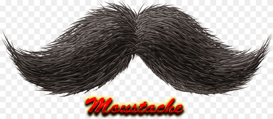 Moustache Hd Mustache Render, Face, Head, Person, Plant Free Png