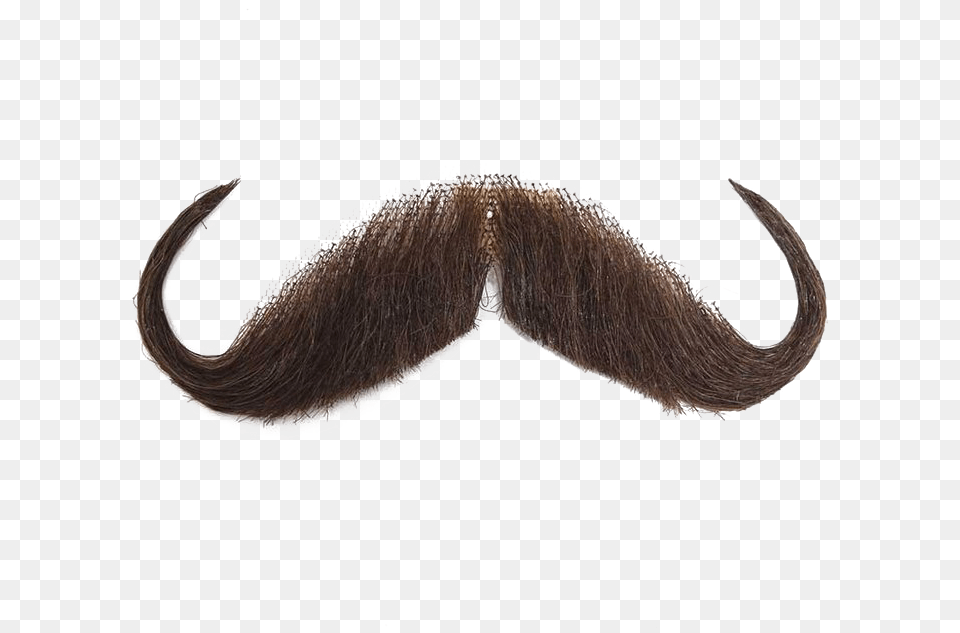 Moustache Image Background Mustache Transparent Background, Face, Head, Person Free Png Download