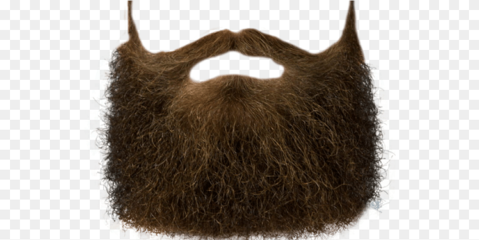 Moustache Images Beard Clip Art, Face, Head, Person, Animal Free Transparent Png