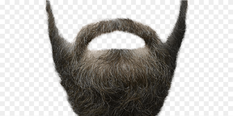 Moustache Transparent Images Beard Transparent Background, Face, Head, Person, Animal Free Png