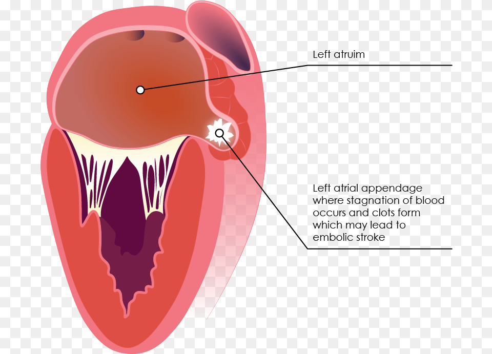 Mouth Blood, Body Part, Person, Tongue Png Image