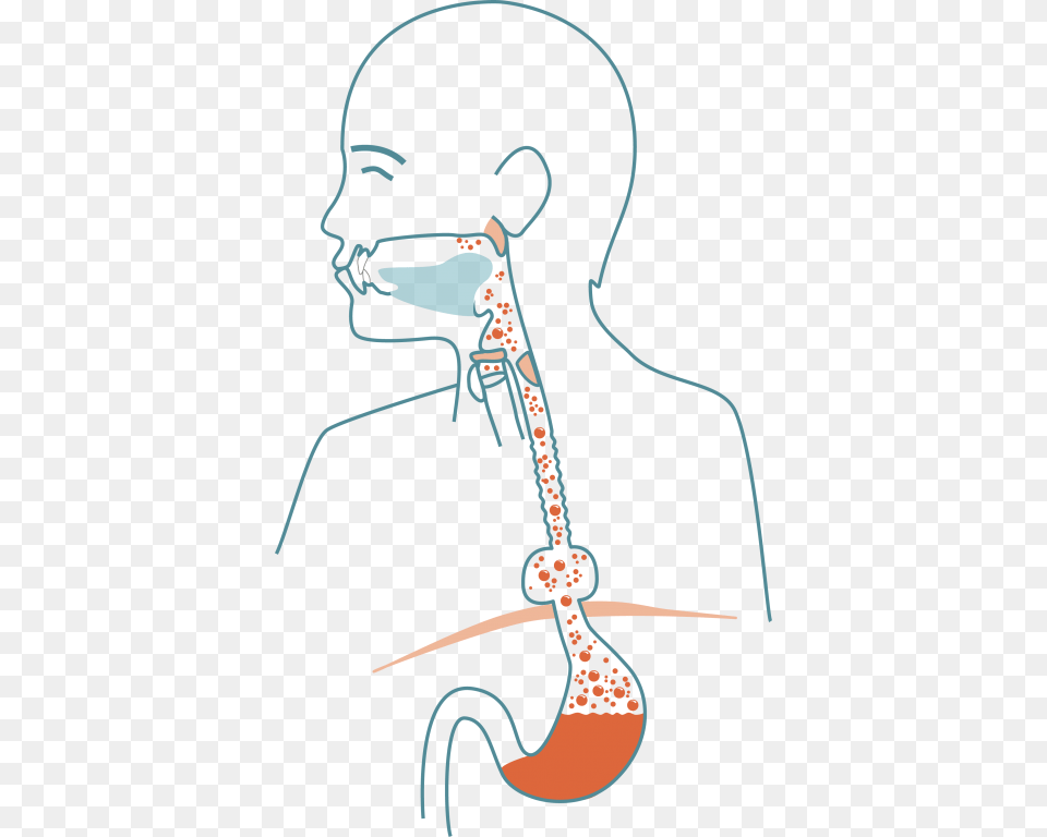 Mouth Clipart Esophagus Illustration, Accessories, Earring, Jewelry, Adult Png Image