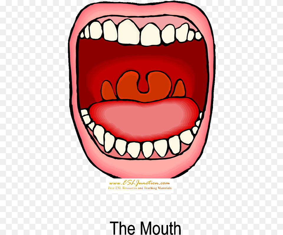 Mouth Images Clipart Animated Mouth Digestive System, Body Part, Person, Teeth, Food Png Image
