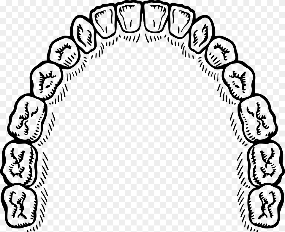 Mouth Of Teeth Vector Clipart Image, Gray Free Transparent Png