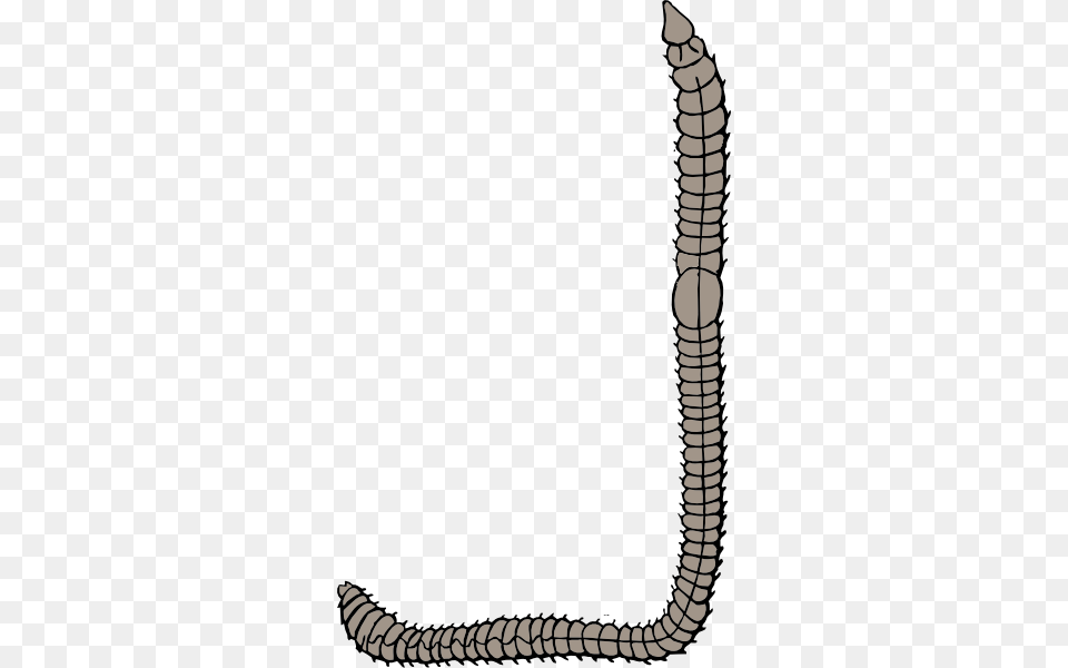 Moving Earthworm Clip Art, Electronics, Hardware Free Transparent Png