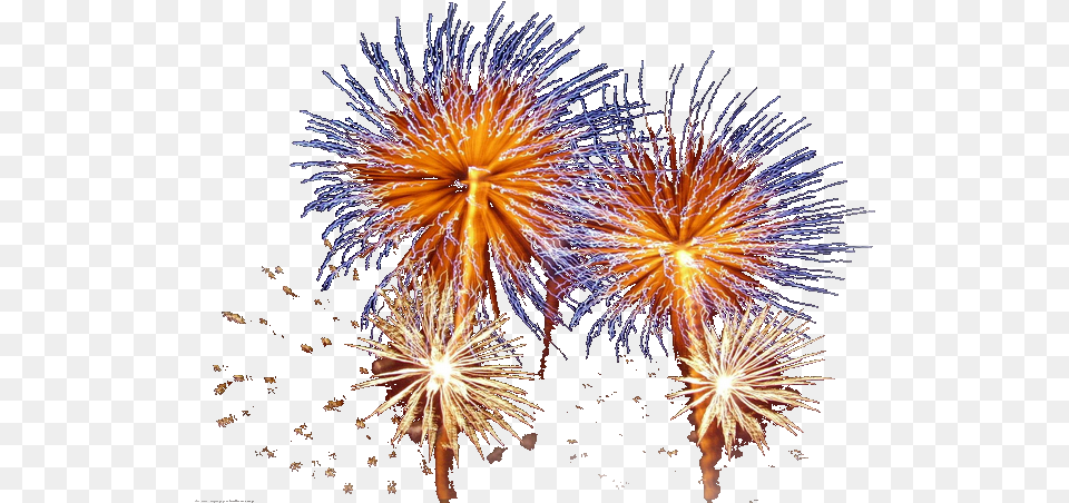 Moving Fireworks Images Background, Plant Free Png Download