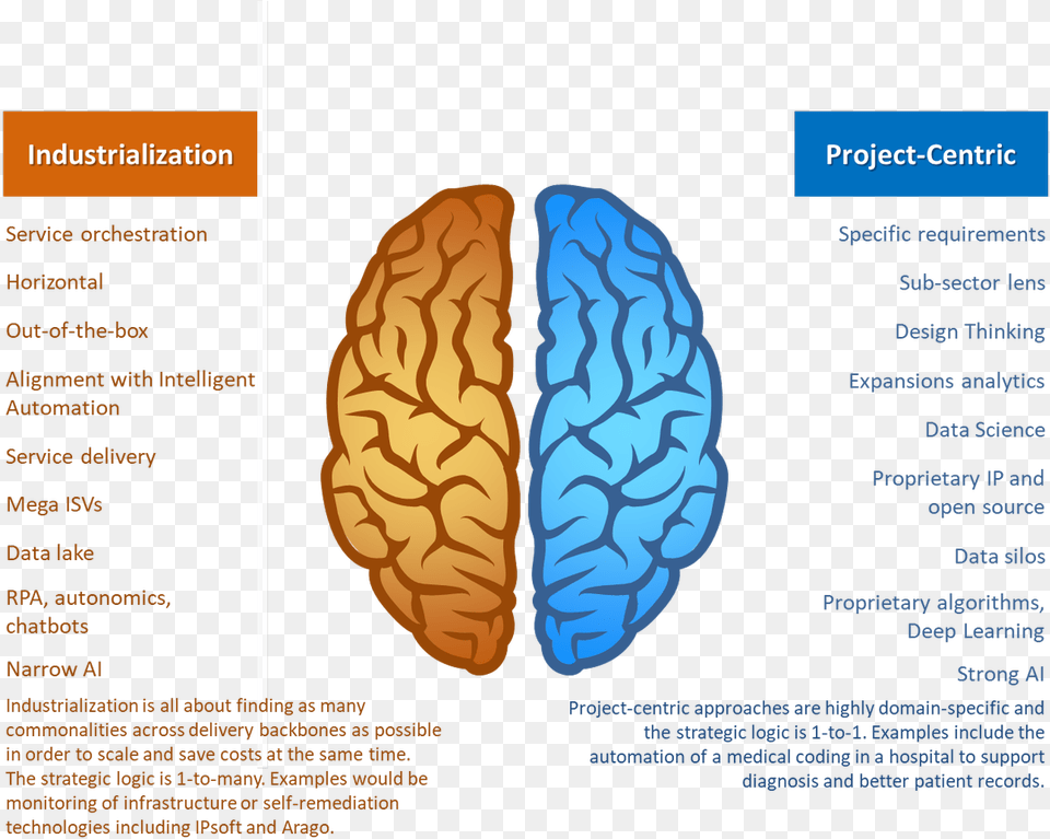 Moving Forward The Holy Grail Of Ai Is At The Intersection Function Of Brain Ppt, Ct Scan, Food, Nut, Plant Free Png Download