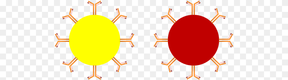 Moving From Latex Particles To Magnetic Social Development In India, Nature, Night, Outdoors Free Png Download