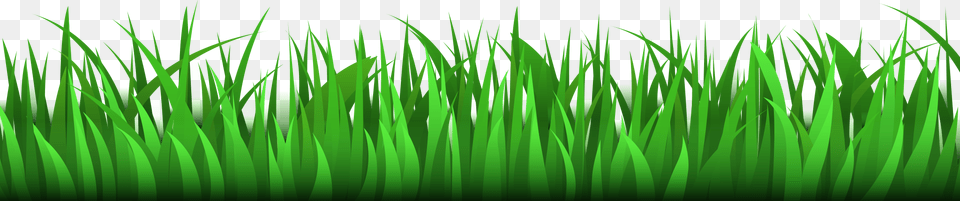 Moving Grass Gif, Green, Lawn, Plant, Vegetation Free Png Download