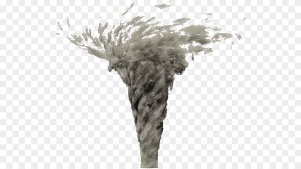 Moving Tornado Tornado Animation Gif, Person, Outdoors, Flower, Plant Free Png