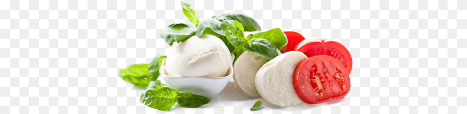 Mozzarella Cheese Mozzarelle, Food, Food Presentation, Cream, Dessert Png Image