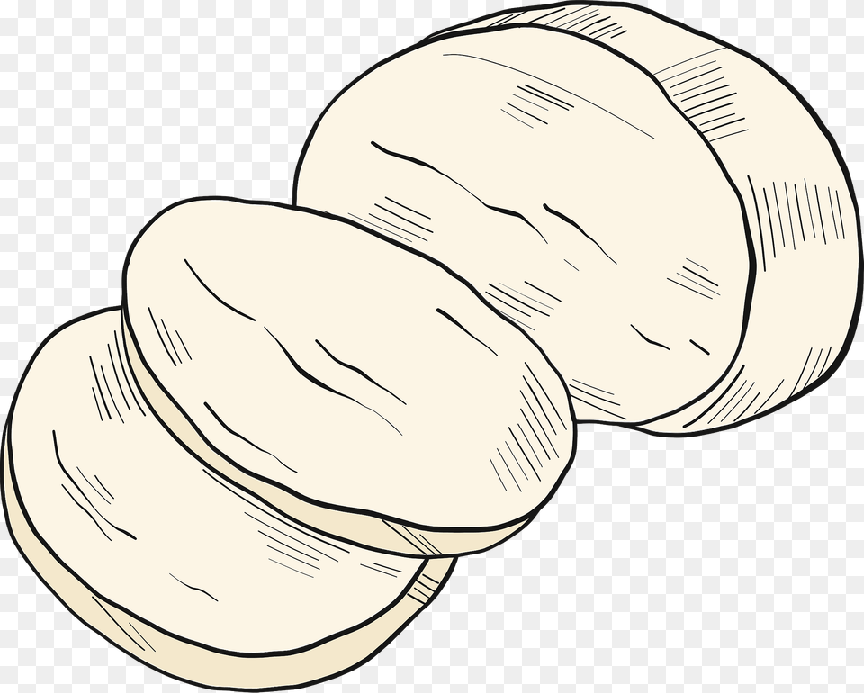 Mozzarella Clipart, Animal, Clam, Food, Invertebrate Png