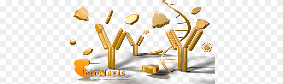 Mp Spr For Antibody Characterization Antigen And Antibody, Treasure, Smoke Pipe, Gold Png