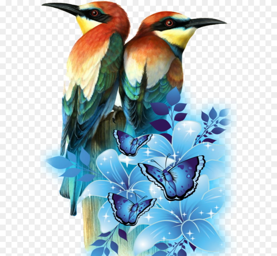 Mq Birds Parrots Flying Flowers Flower And Blue Butterfly, Animal, Bee Eater, Bird, Beak Png Image