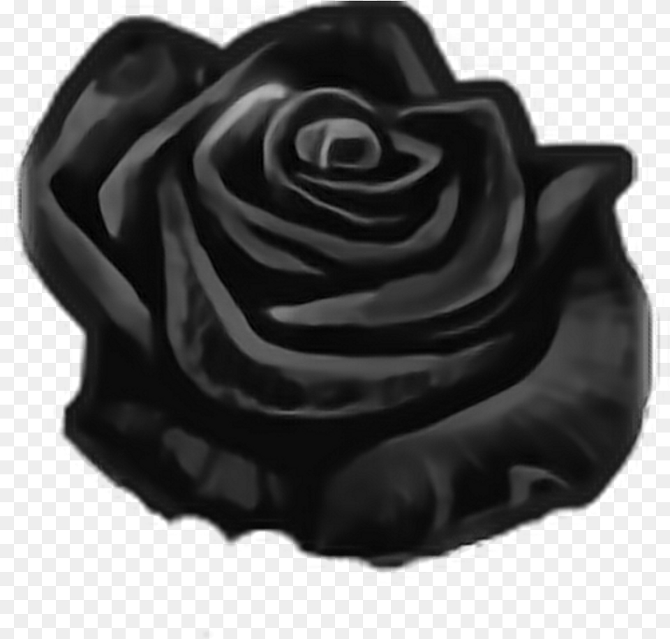 Mq Black Rose Roses Flowers Flower Floribunda, Plant Png