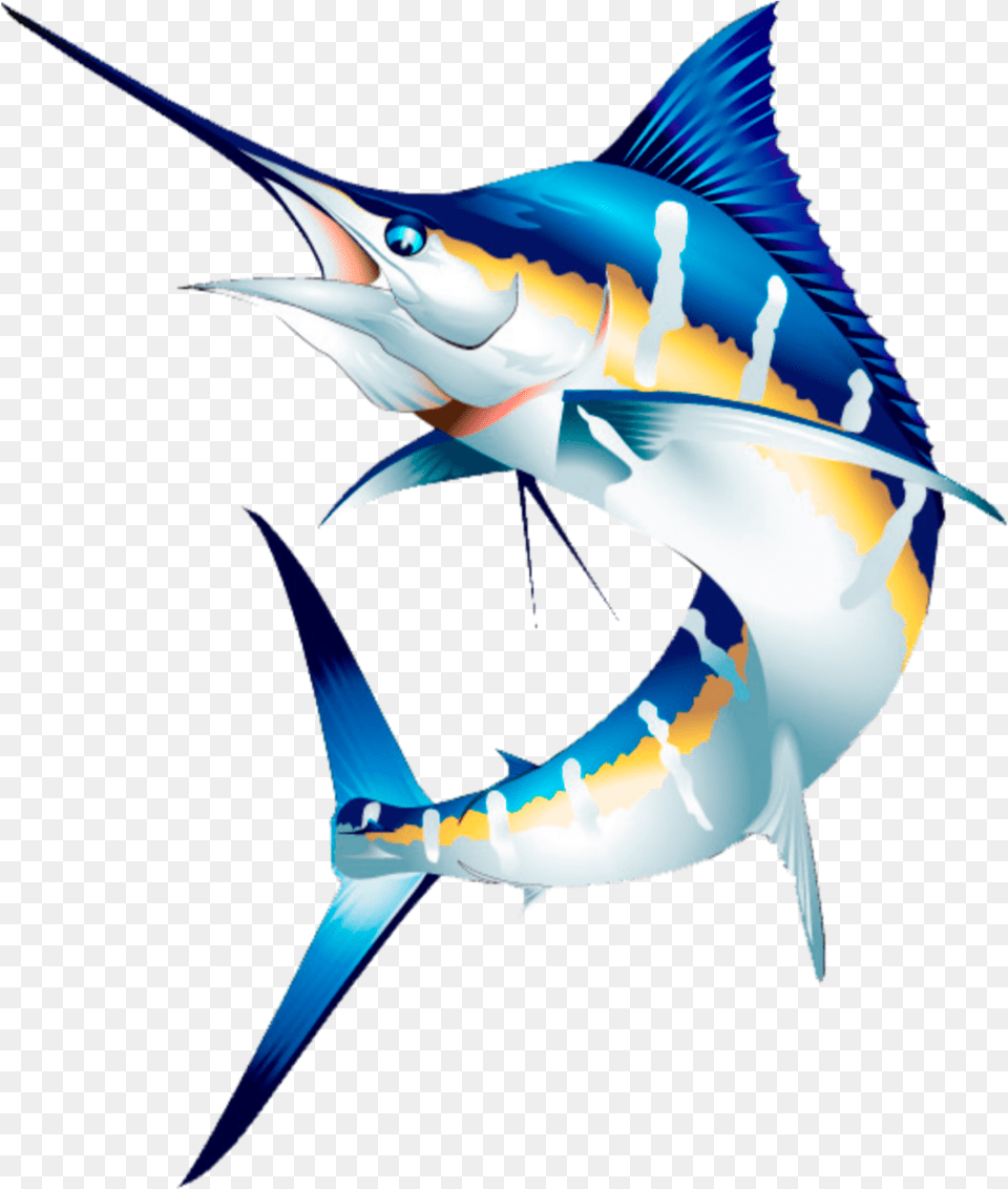 Mq Blue Fish Swordfish Water Sticker By Marras Swordfish, Animal, Sea Life, Shark Png