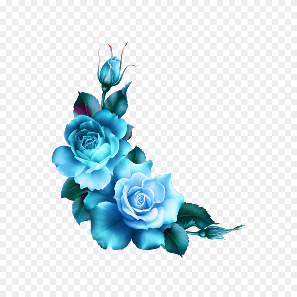 Mq Blue Roses Flowers Flower Rose Border Borders, Art, Graphics, Pattern, Plant Free Png