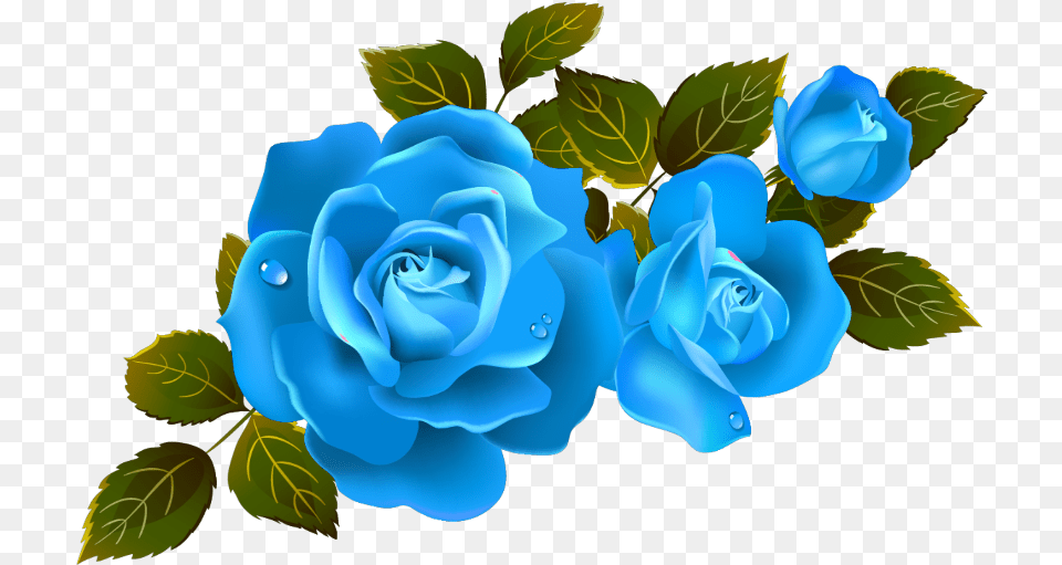 Mq Blue Roses Rose Flower Flowers Clip Art Rose Flowers, Plant Free Png Download