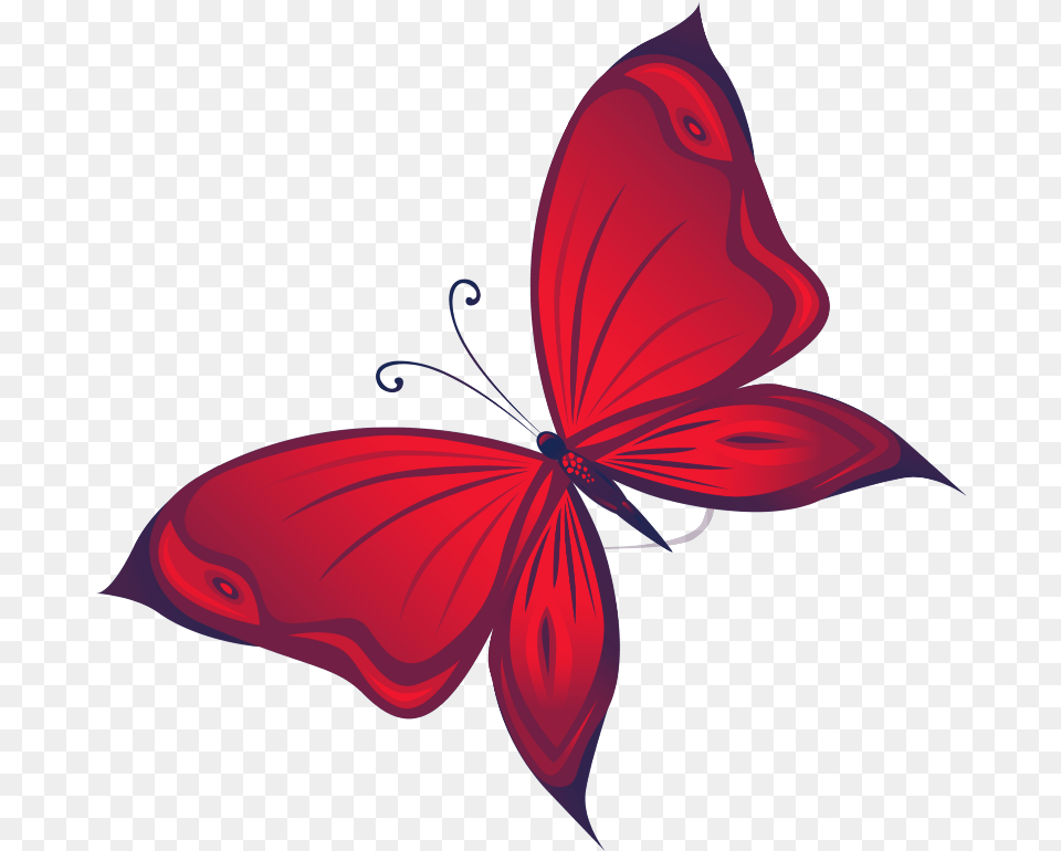 Mq Butterfly Butterflys Red Riodinidae, Flower, Petal, Plant, Animal Png Image