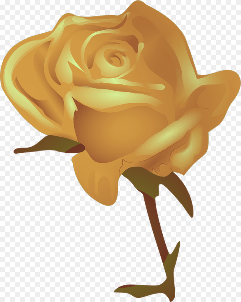 Mq Gold Rose Yellow Flower Cartoon Red Rose Rosas Clipart, Plant, Baby, Person Png