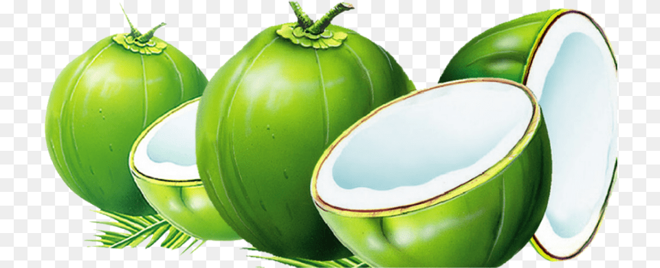 Mq Green Coconut Coconuts Green Background Coconut, Food, Fruit, Plant, Produce Free Png Download