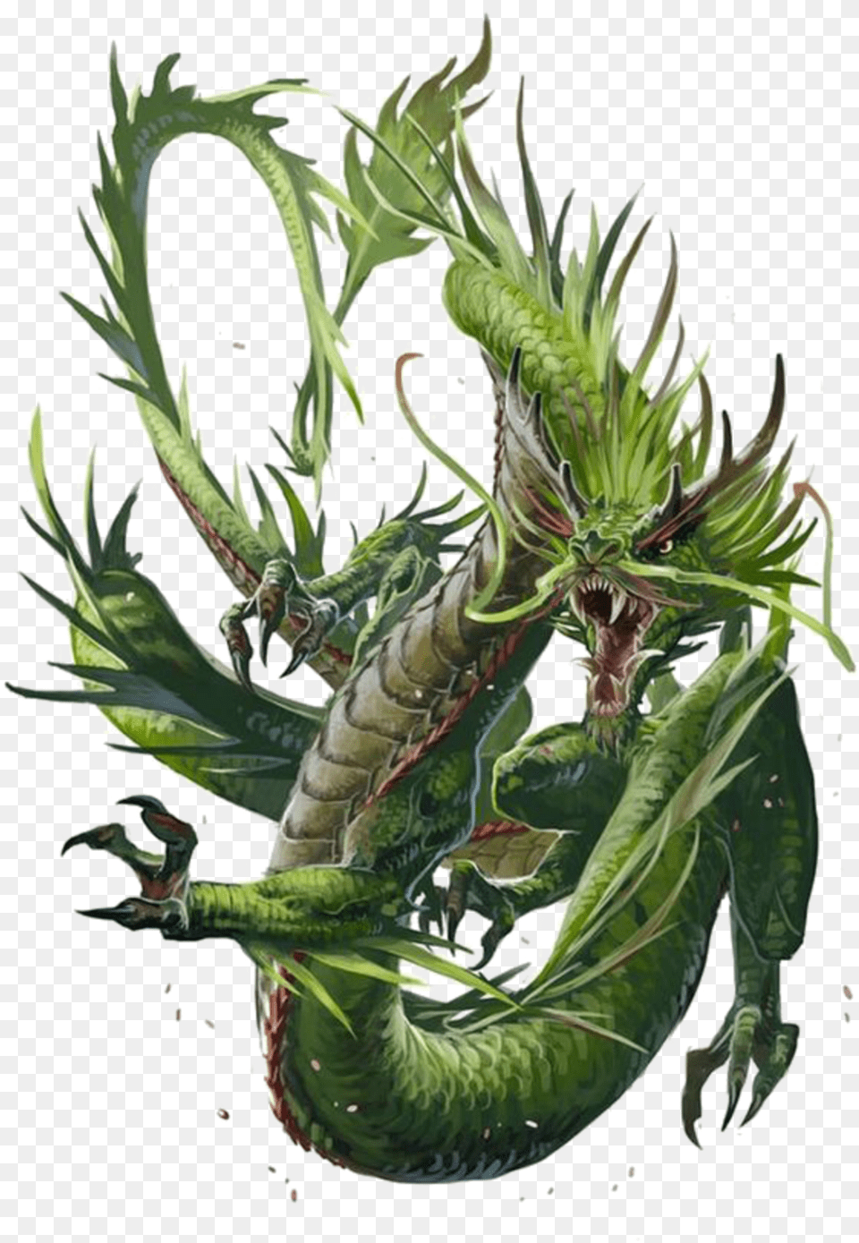 Mq Green Dragon Dragons Fantasy Chinese Dragon Fantasy Art, Plant Png