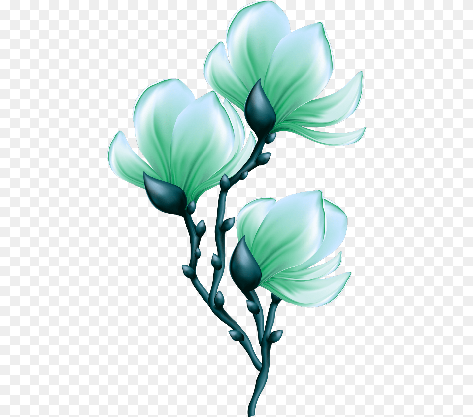 Mq Green Flowers Flower Garden Nature Postenesanmerkung Transparent Blooming Flower, Sprout, Plant, Petal, Graphics Png