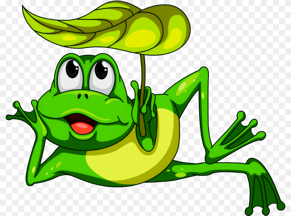 Mq Green Frog Frogs Toad Cartoon Frog Transparent Background, Amphibian, Animal, Wildlife, Face Png