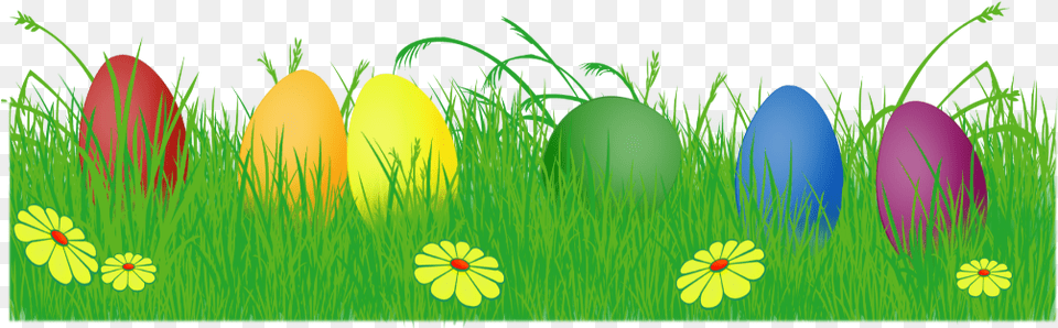 Mq Green Grass Egg Easter Grass, Easter Egg, Food Png