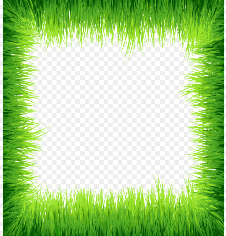 Mq Green Grass Frame Frames Border Borders Grass, Plant, Moss, Outdoors Free Transparent Png