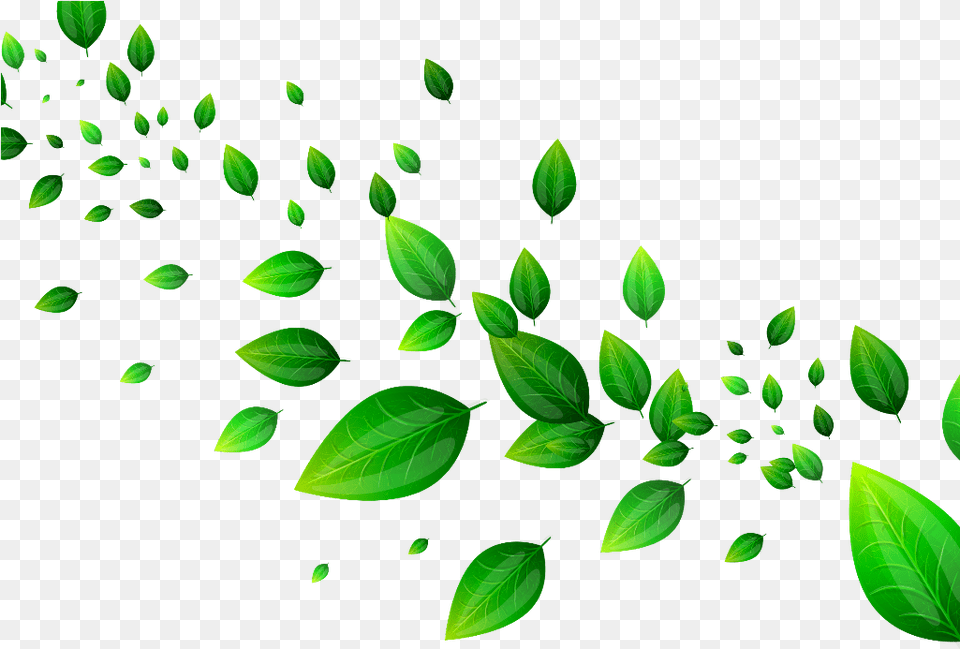 Mq Green Leaves Garden Green Falling Border Clip Art, Leaf, Plant, Flower, Pattern Free Png Download