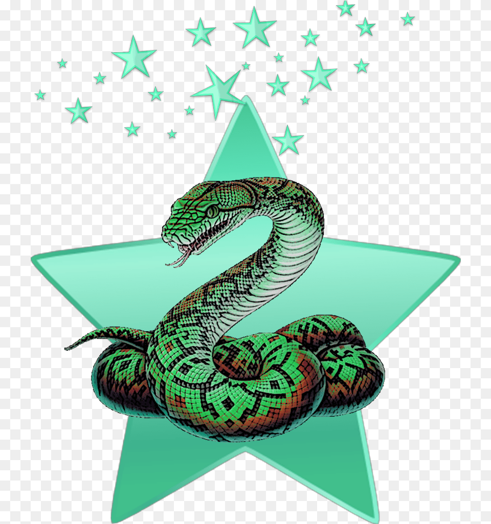 Mq Green Snake Stars Star Animal Snake, Reptile, Symbol, Star Symbol Free Png