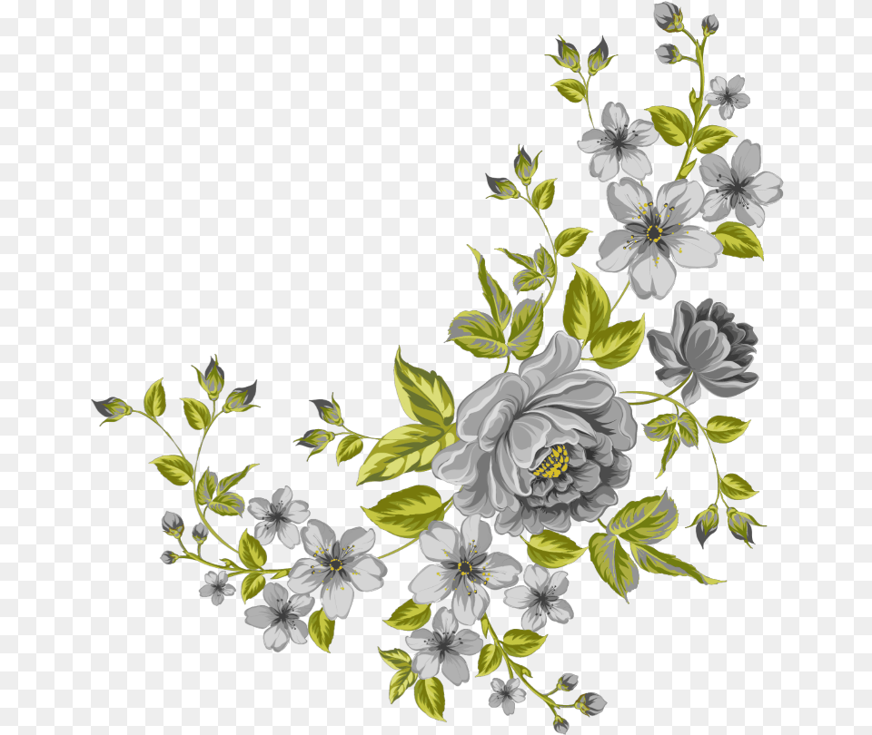 Mq Grey Green Flowers Garden Nature Transparent Background Flower Clipart, Art, Floral Design, Graphics, Pattern Png