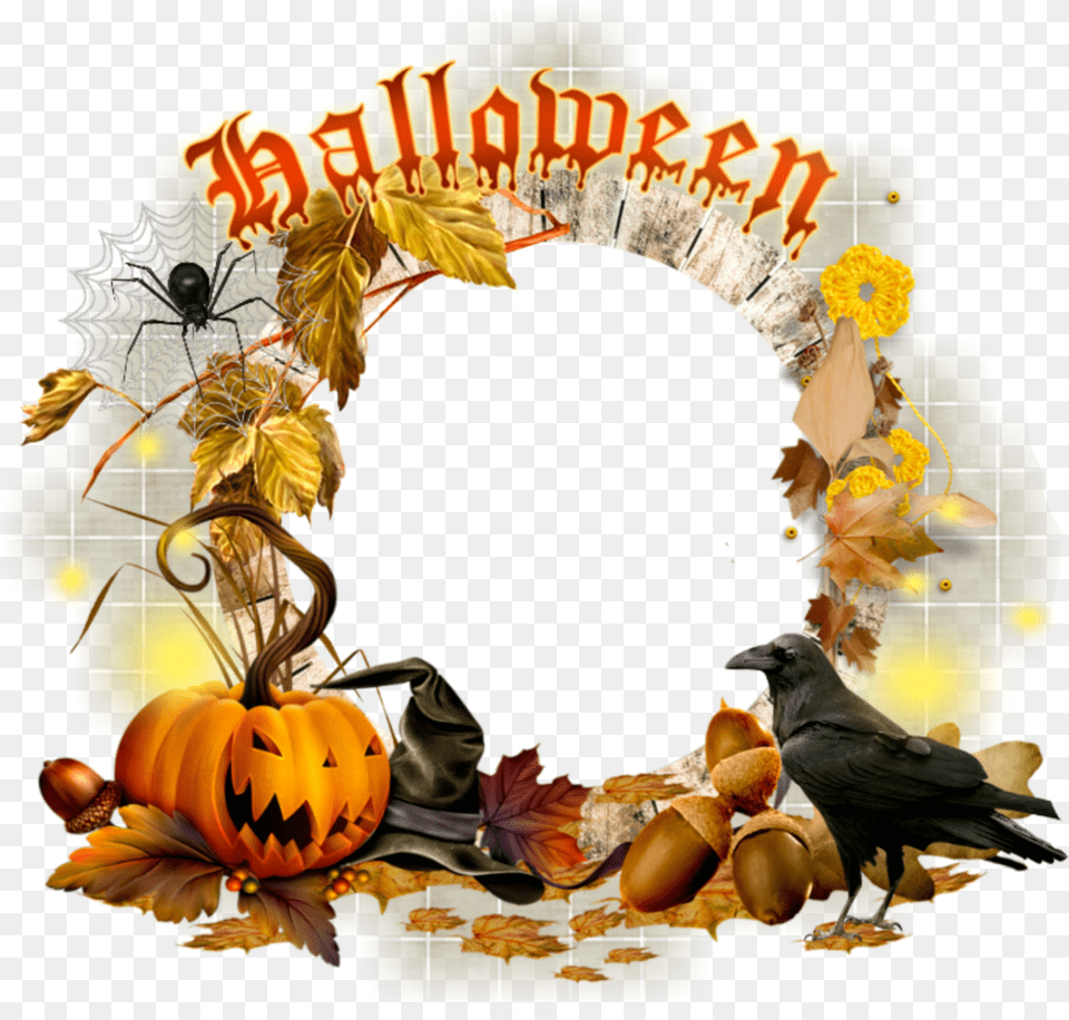 Mq Halloween Frame Frames Border Borders Halloween Borders And Frames, Food, Plant, Produce, Pumpkin Png Image