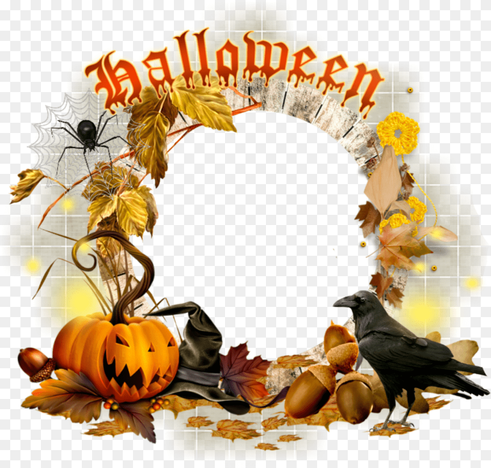 Mq Halloween Frame Frames Border Sticker By Marras Halloween Frames And Borders Png