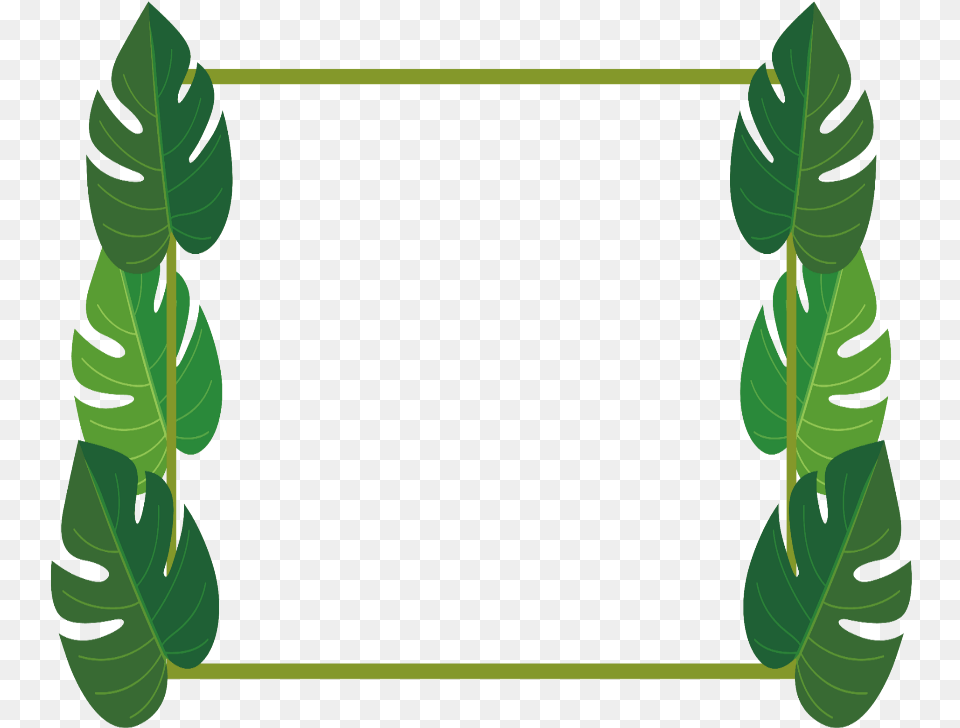 Mq Leaf Leaves Frame Frames Palm Palm Leaves Border Clipart, Green, Tree, Rainforest, Plant Free Png Download