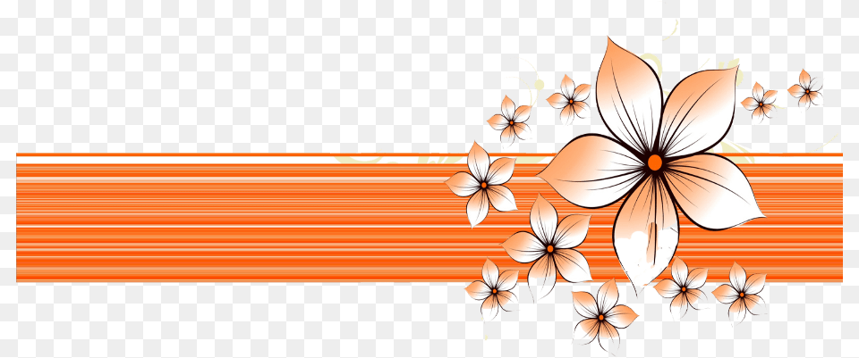 Mq Orange Flowers Border Borders Powerpoint Background, Art, Floral Design, Graphics, Pattern Free Png