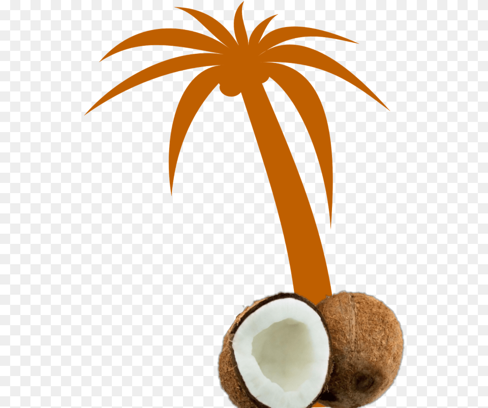 Mq Orange Palmtree Palm Coconut Palm Tree Clip Art Palm Tree Clip Art, Food, Fruit, Plant, Produce Png Image