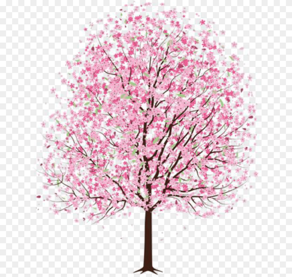 Mq Pink Flower Flowers Tree Trees Trees Flowers, Plant, Cherry Blossom Png