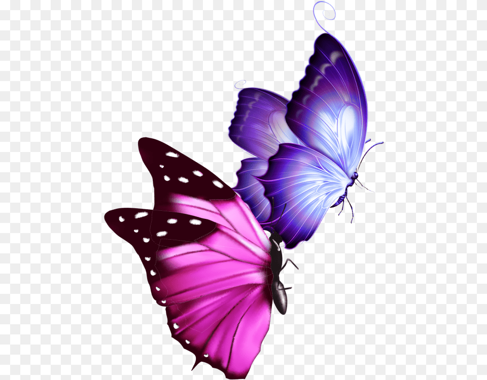 Mq Pink Purple Butterfly Butterflys Real Life Pink And Purple Butterfly, Animal, Insect, Invertebrate, Art Free Transparent Png