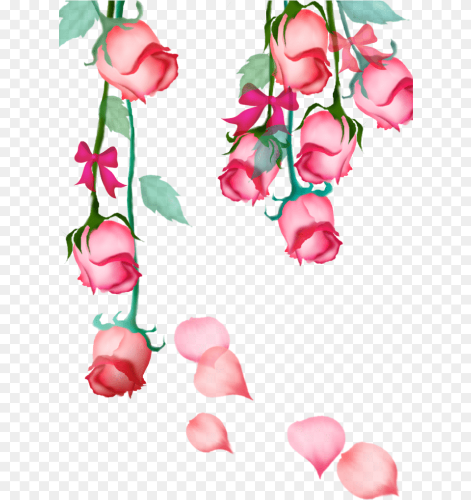 Mq Pink Rose Roses Hanging Bow Flowers Flower, Petal, Plant Free Transparent Png