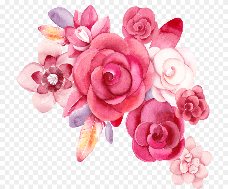 Mq Pink Roses Rose Flowers Flower Garden Nature Watercolor Flower Drawing, Accessories, Flower Arrangement, Flower Bouquet, Plant Png Image