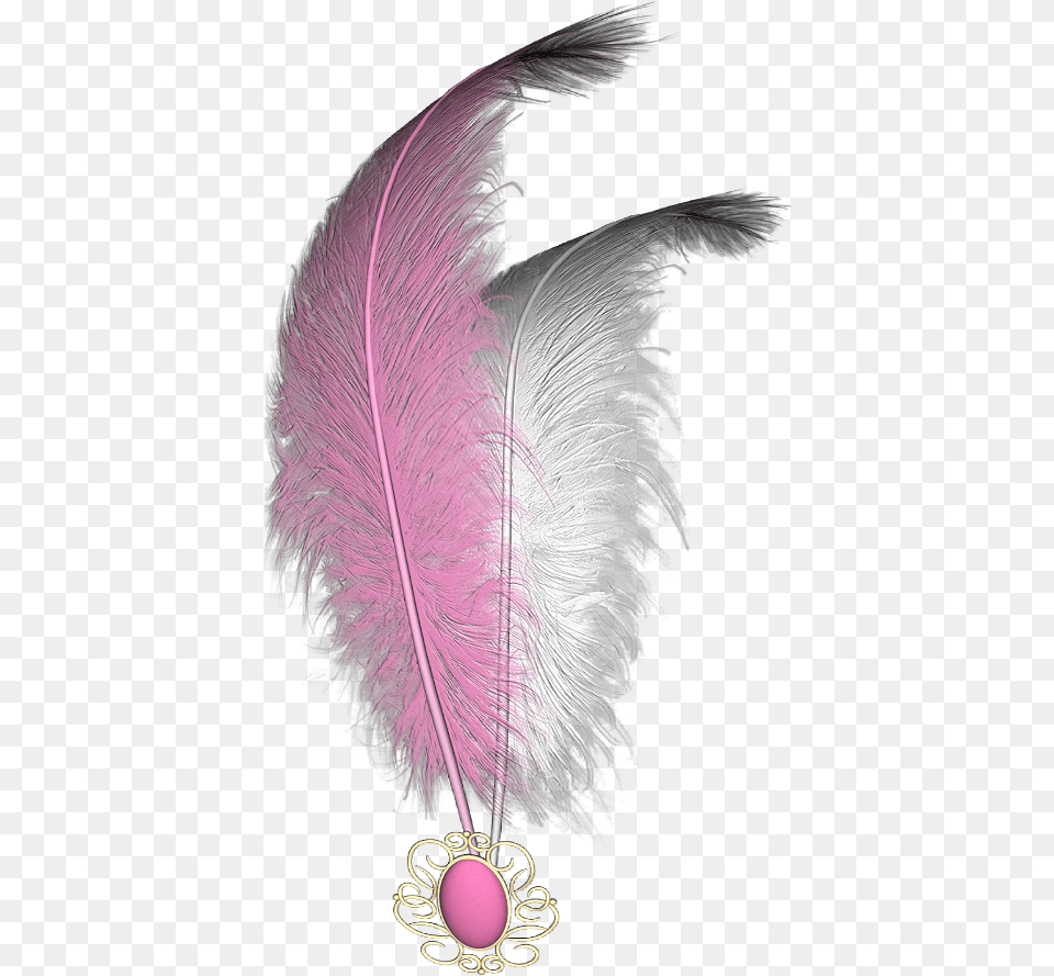 Mq Pink White Feather Feathers, Accessories, Pattern, Animal, Mammal Free Png Download