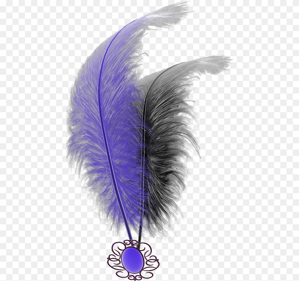 Mq Purple Black Feathers Feather Feather, Accessories, Animal, Mammal, Monkey Free Png