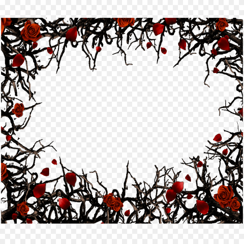 Mq Red Black Roses Gothic Frame Frames Border Borders, Flower, Petal, Plant, Rose Free Png