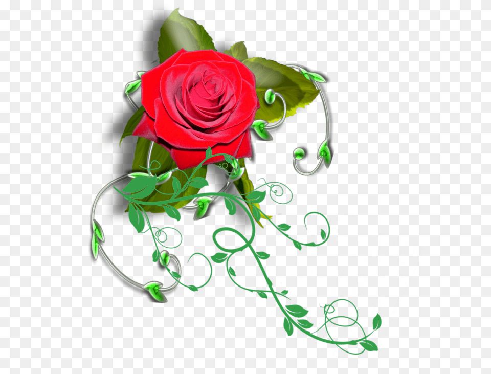 Mq Red Rose Vines Garden Roses, Art, Floral Design, Flower, Graphics Png
