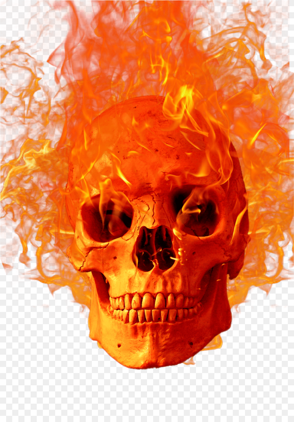 Mq Skull Fire Fireflames Flames Flaming Skull, Fern, Plant, Leaf Free Png