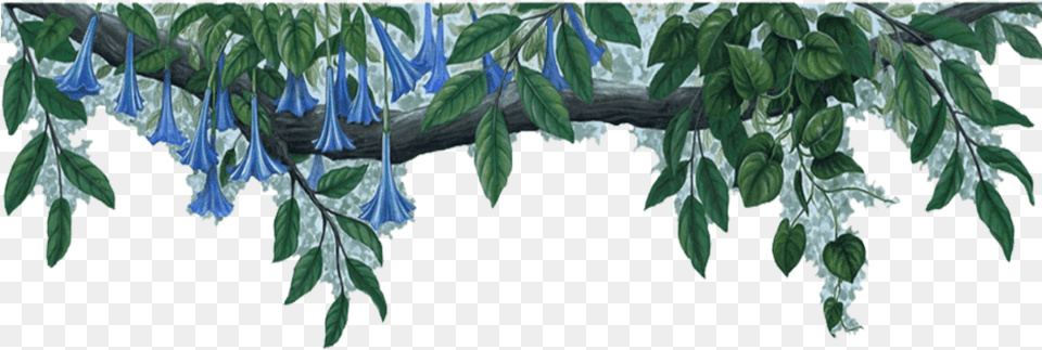 Mq Sticker Blue Flower Border Transparent, Vegetation, Tree, Plant, Leaf Free Png