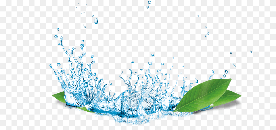 Mq Water Splash Waters Rain Leaves Nature, Droplet, Leaf, Plant, Outdoors Free Transparent Png