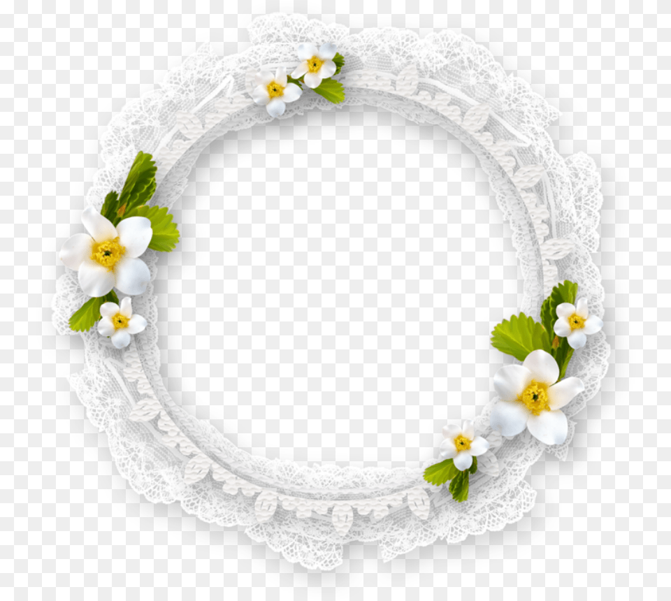 Mq White Circle Flowers Frame Frames Border White Flower Frame, Anemone, Plant, Petal, Flower Arrangement Free Png Download